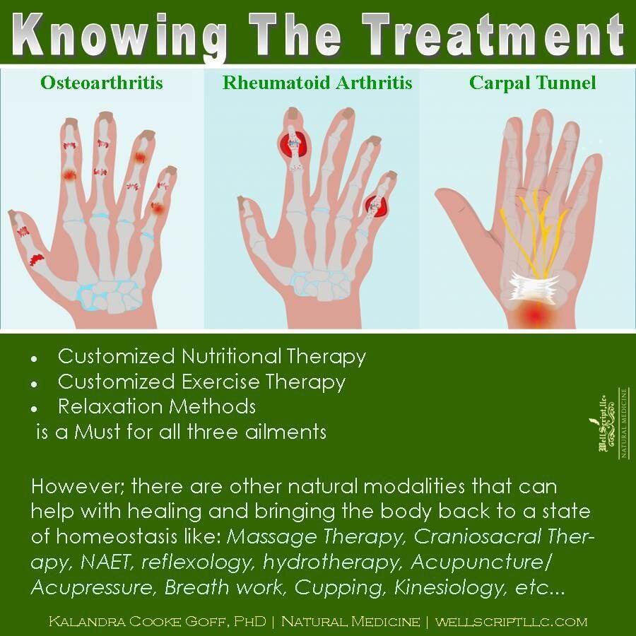 WellScript, LLC Kalandra Cooke Goff, PhD Natural Medicine