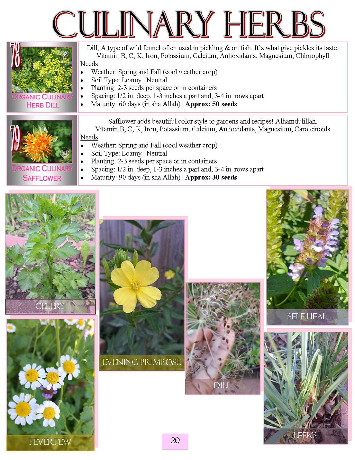 Lovin' My Garden Organic 2025 Garden Nutrients