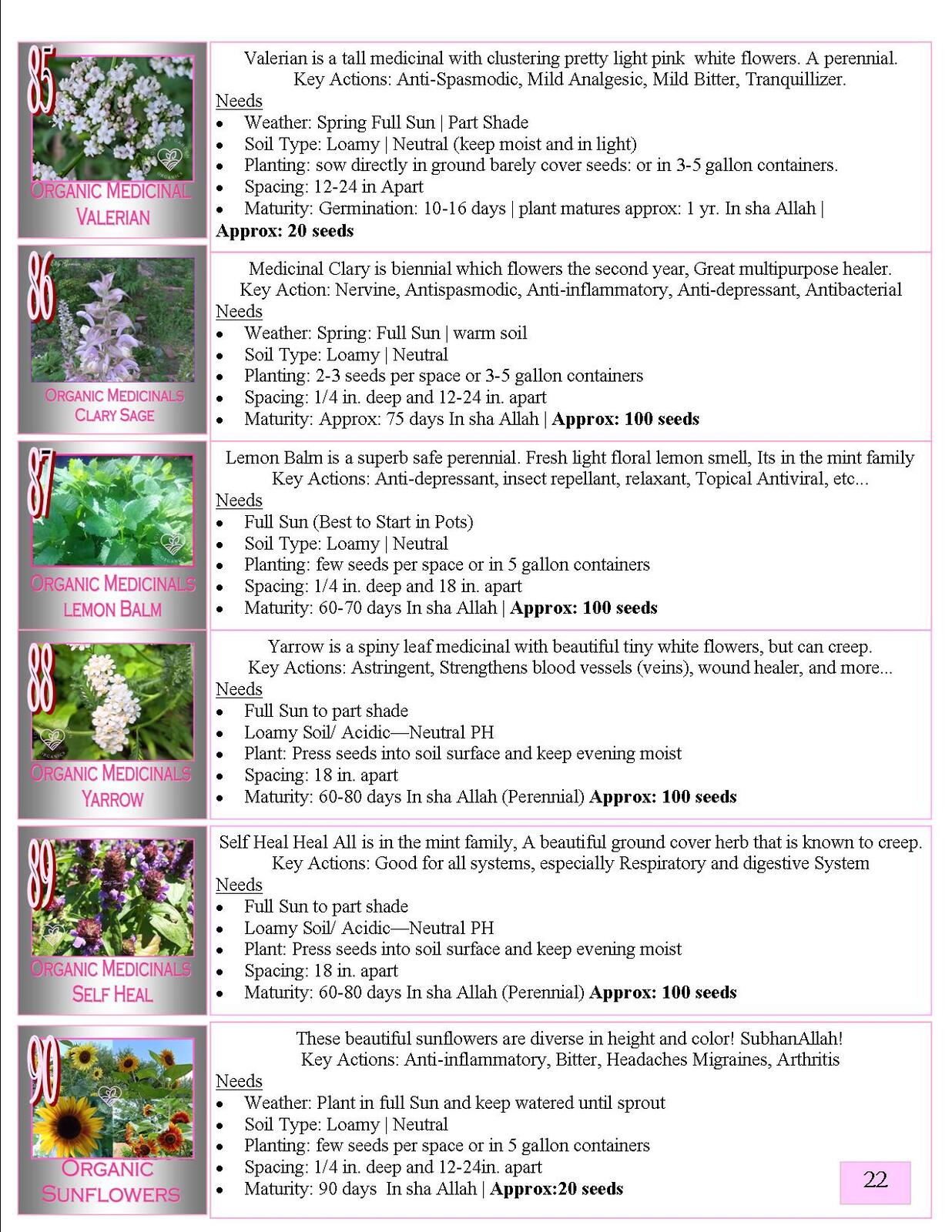 Lovin' My Garden Organic 2025 Medicinals 1