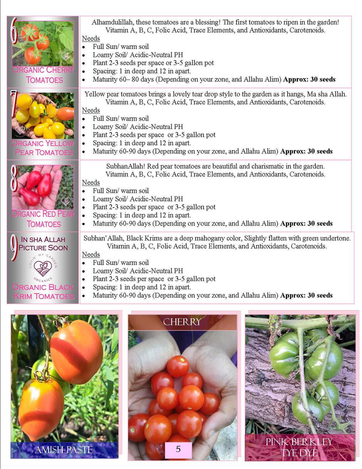 Lovin' My Garden Organic 2025 Tomatoes 2