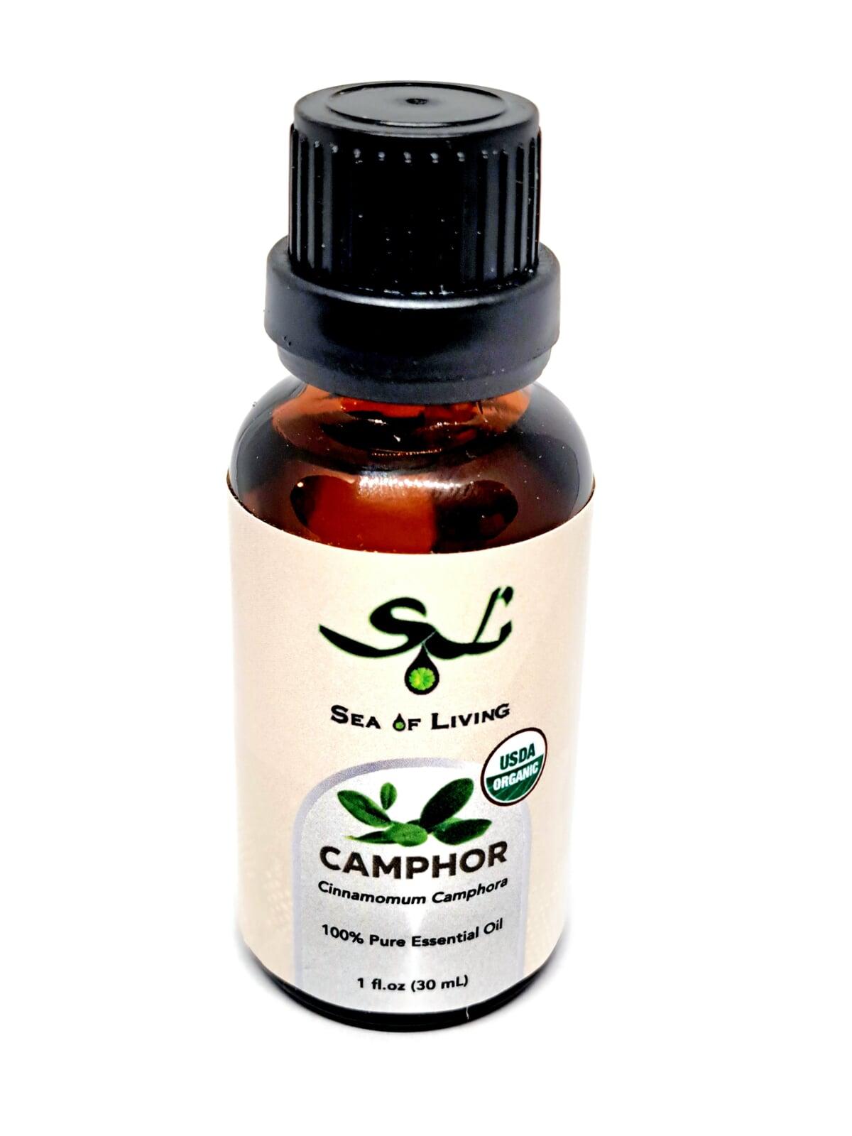 Sea of Living Organic Camphor Essential Oil