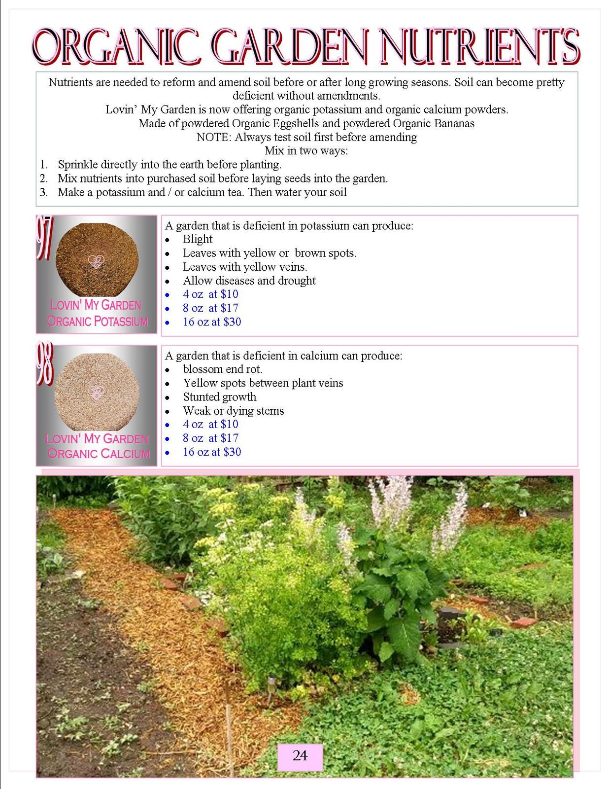 Lovin' My Garden Organic 2025 legumes1