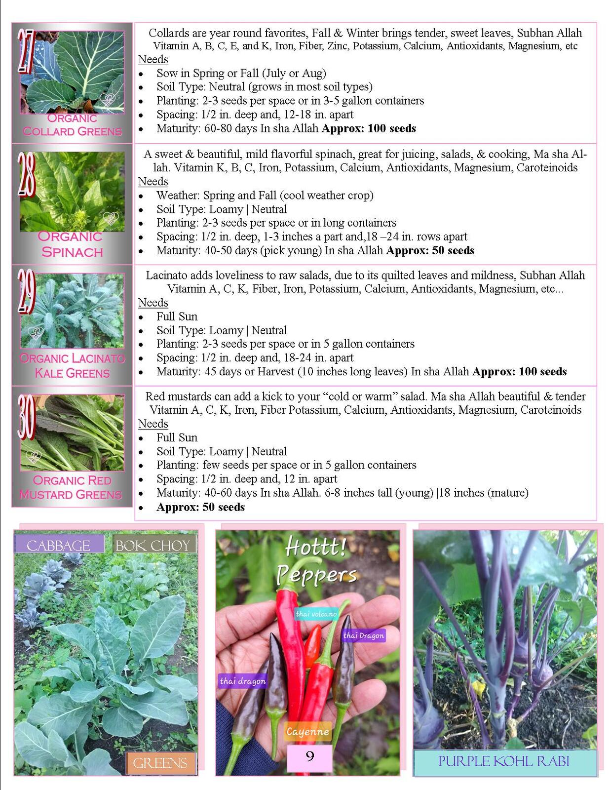 Lovin' My Garden Organic 2025 Greens