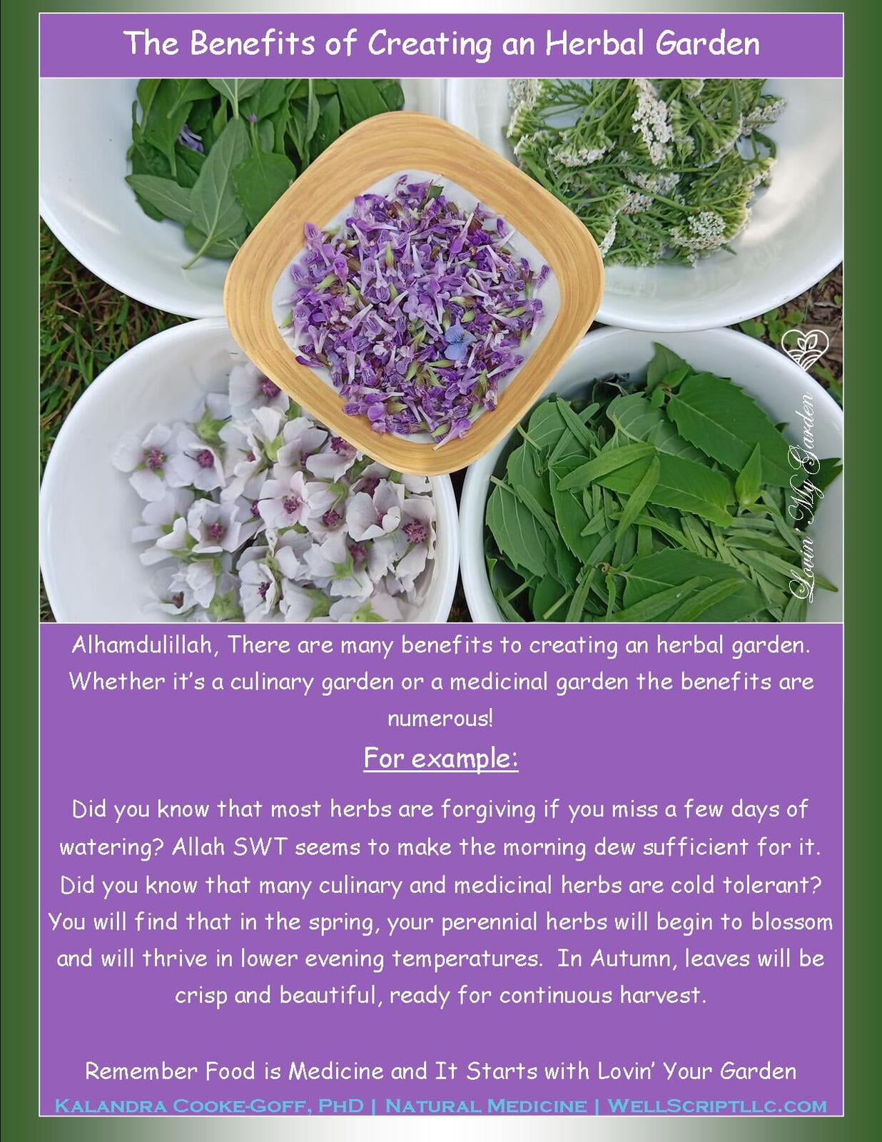 WellScript, LLC Kalandra Cooke Goff, PhD Natural Medicine Lovin' My Garden Organic
