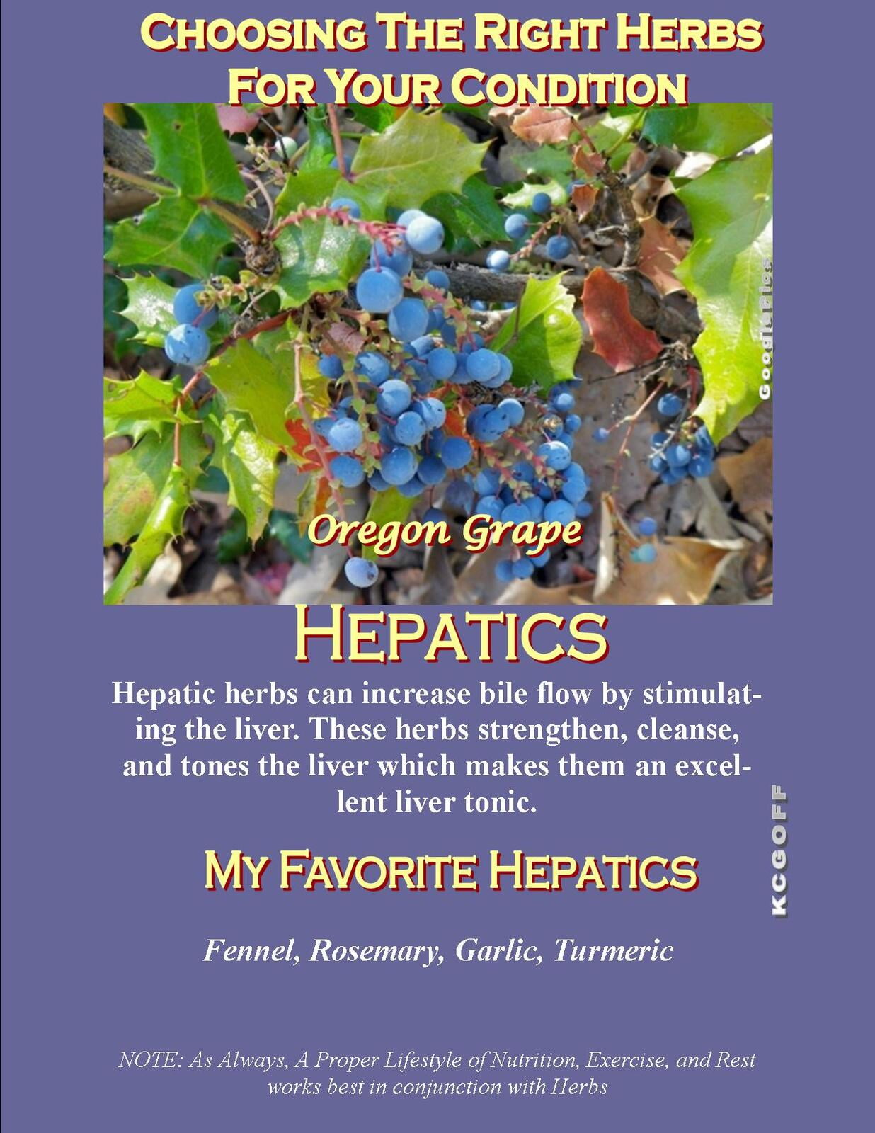 WellScript, LLC Kalandra Cooke Goff, PhD Natural Medicine