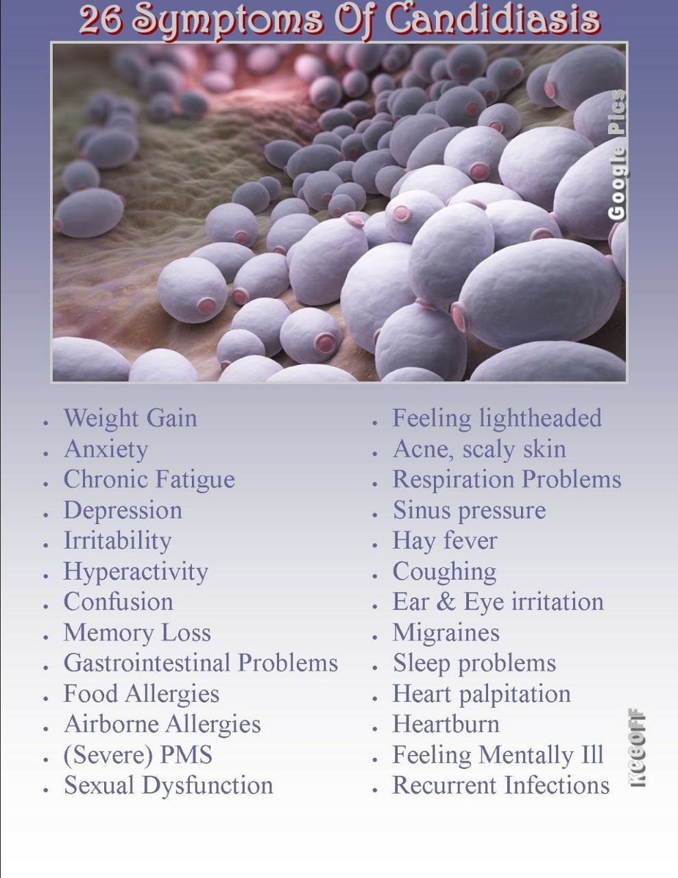 WellScript, LLC Kalandra Cooke Goff, PhD Natural Medicine