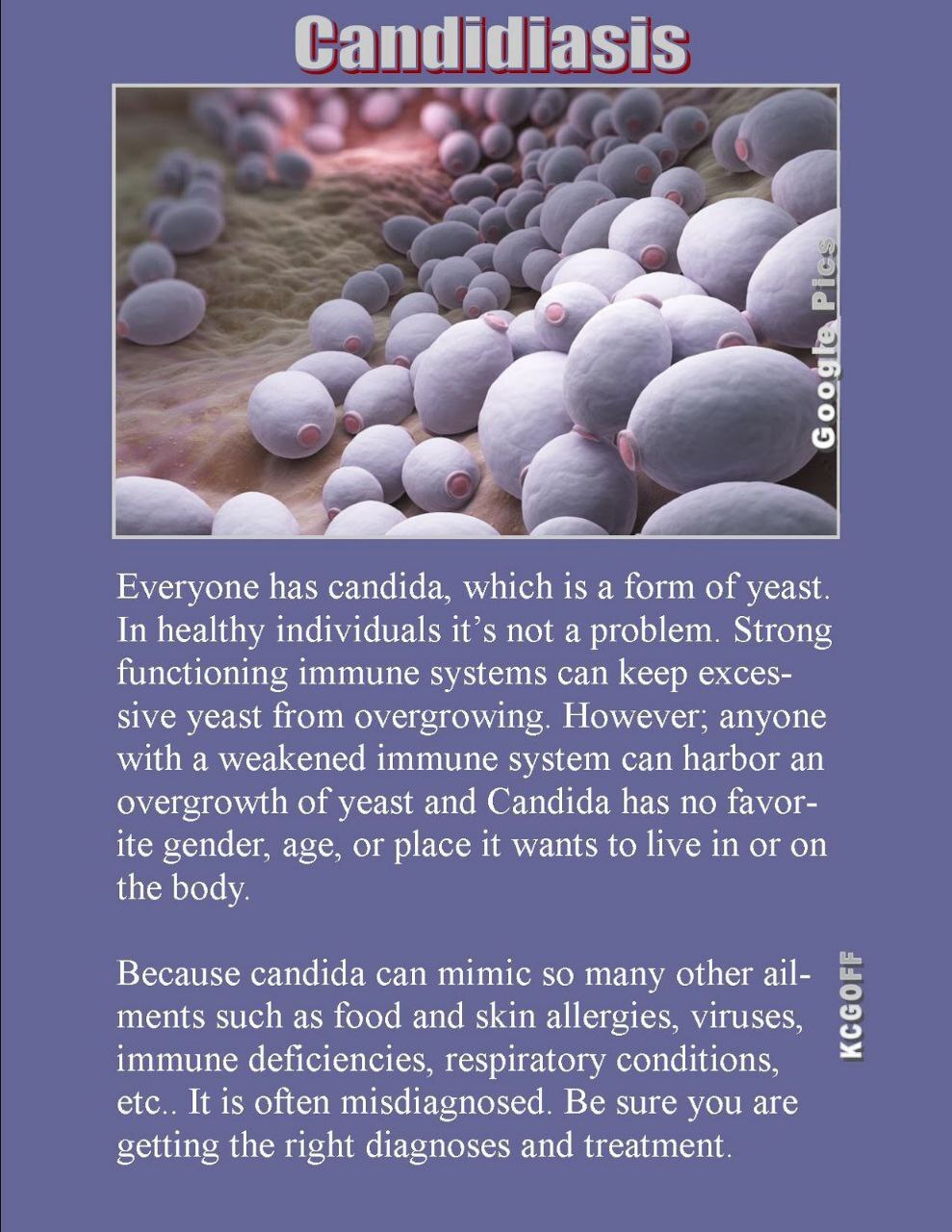 WellScript, LLC Kalandra Cooke Goff, PhD Natural Medicine
