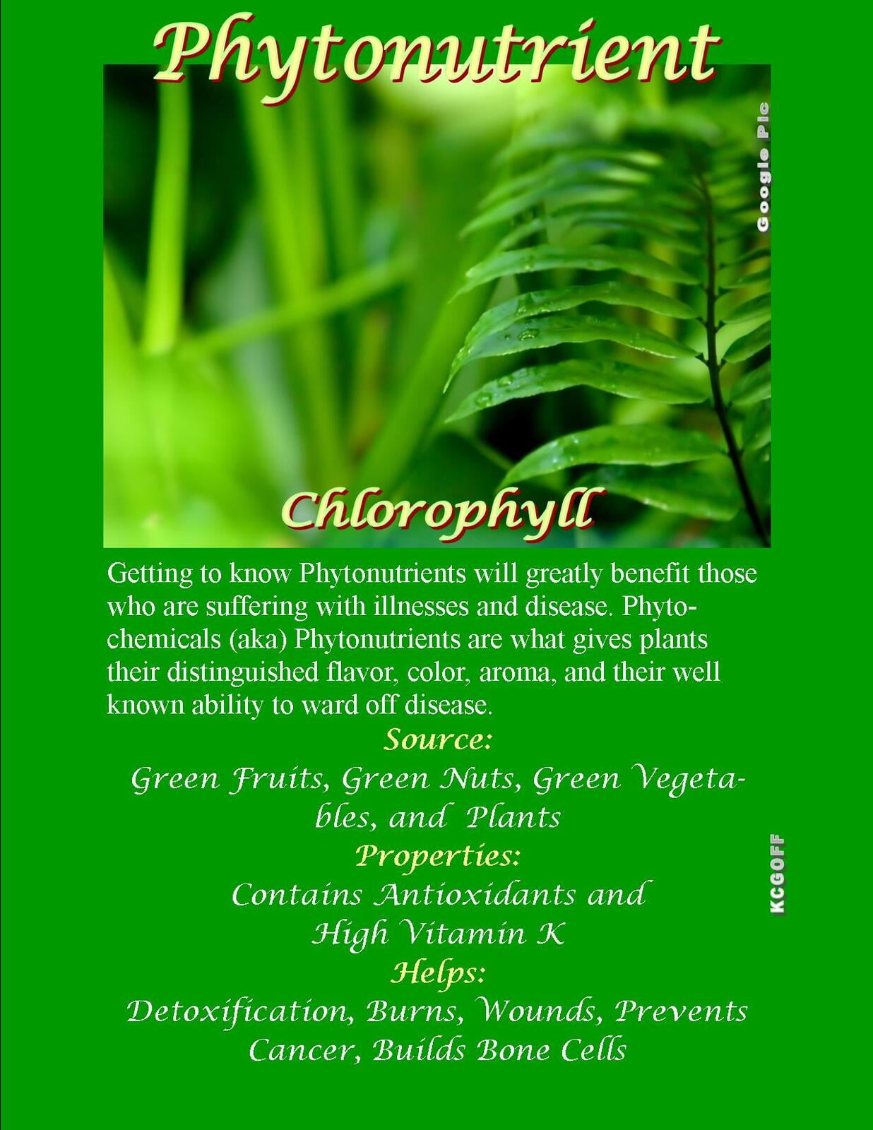 WellScript, LLC Kalandra Cooke Goff, PhD Natural Medicine