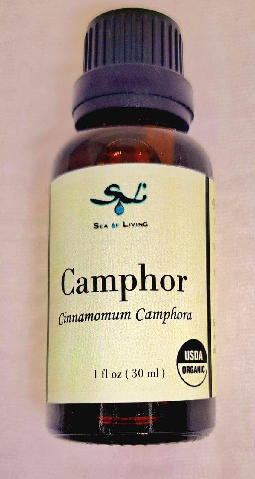 Sea of Living Camphor