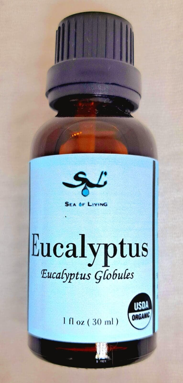 Sea of Living Eucalyptus