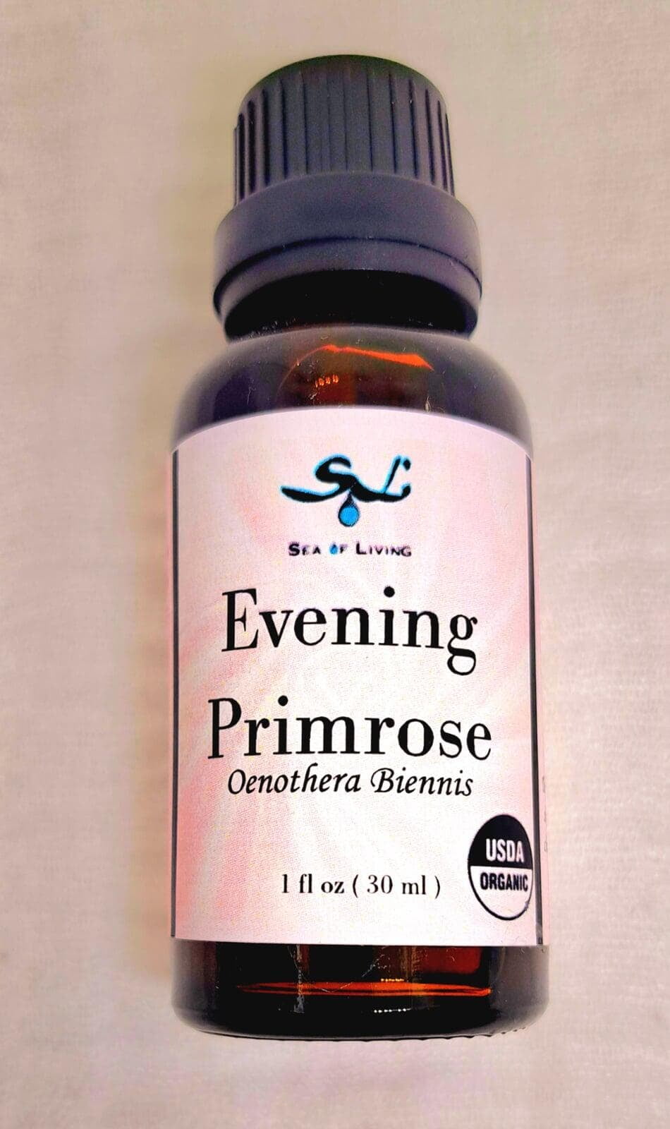 Sea of Living Evening Primrose