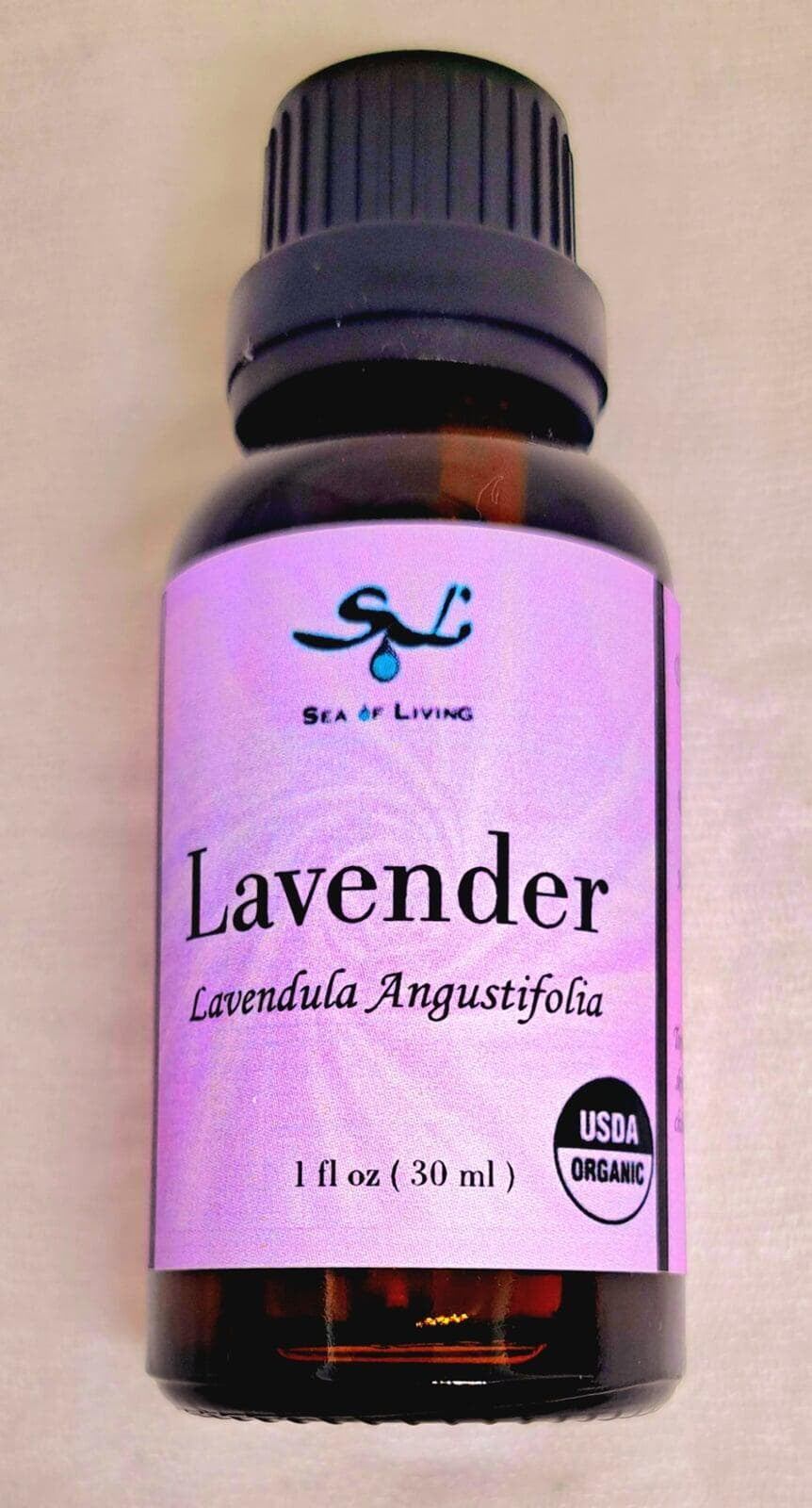 Sea of Living Lavender