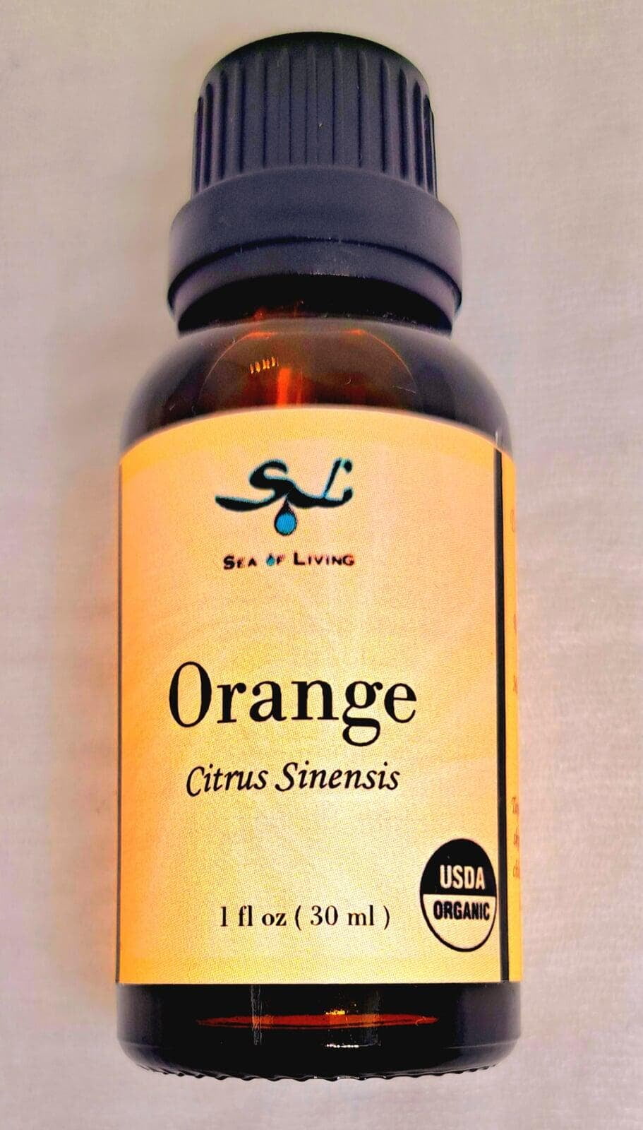 Sea  of Living Orange