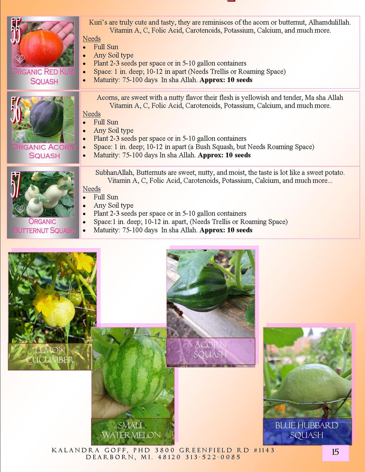 Lovin' My Garden Organic 2025 Culinary herb 3