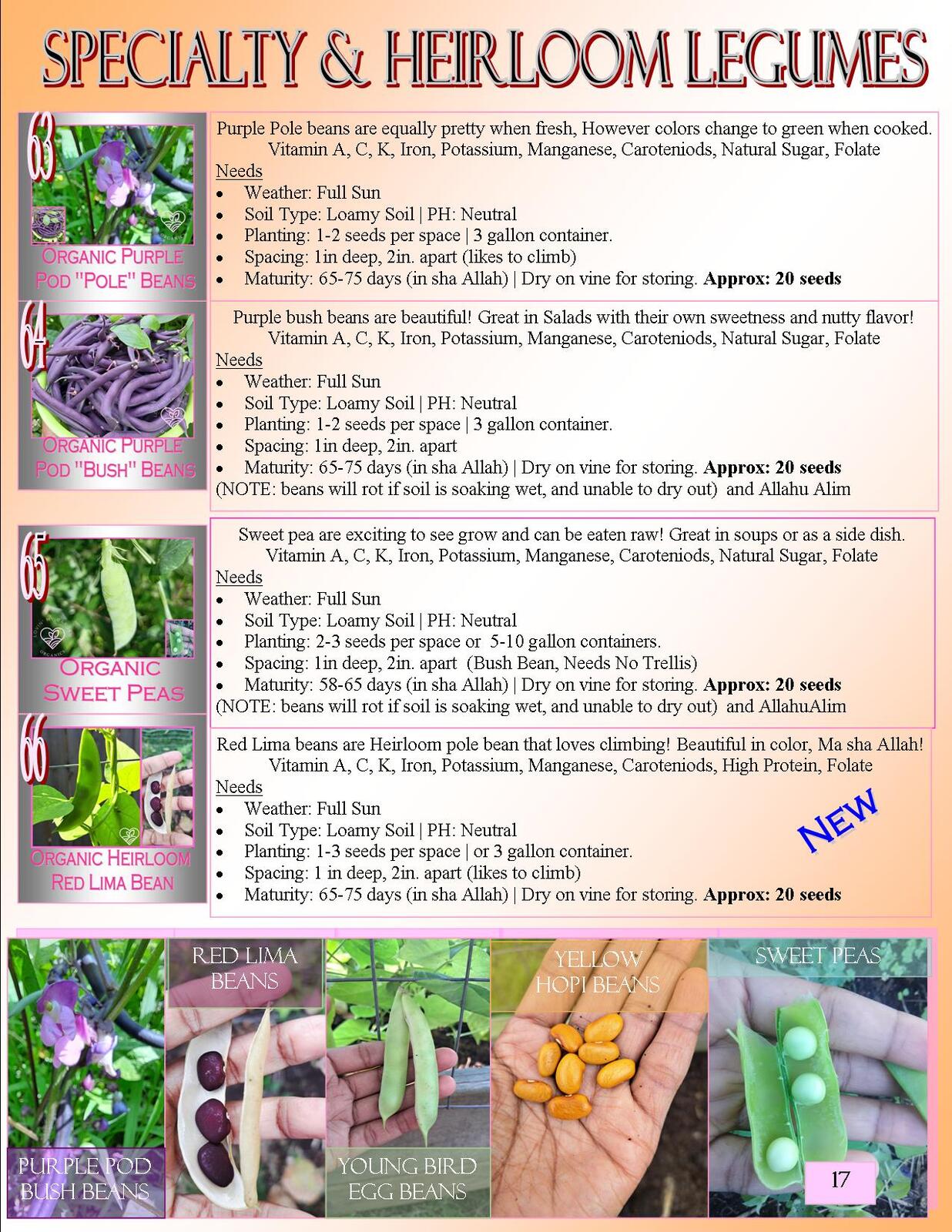 Lovin' My Garden Organic 2025 Garden Nutrients