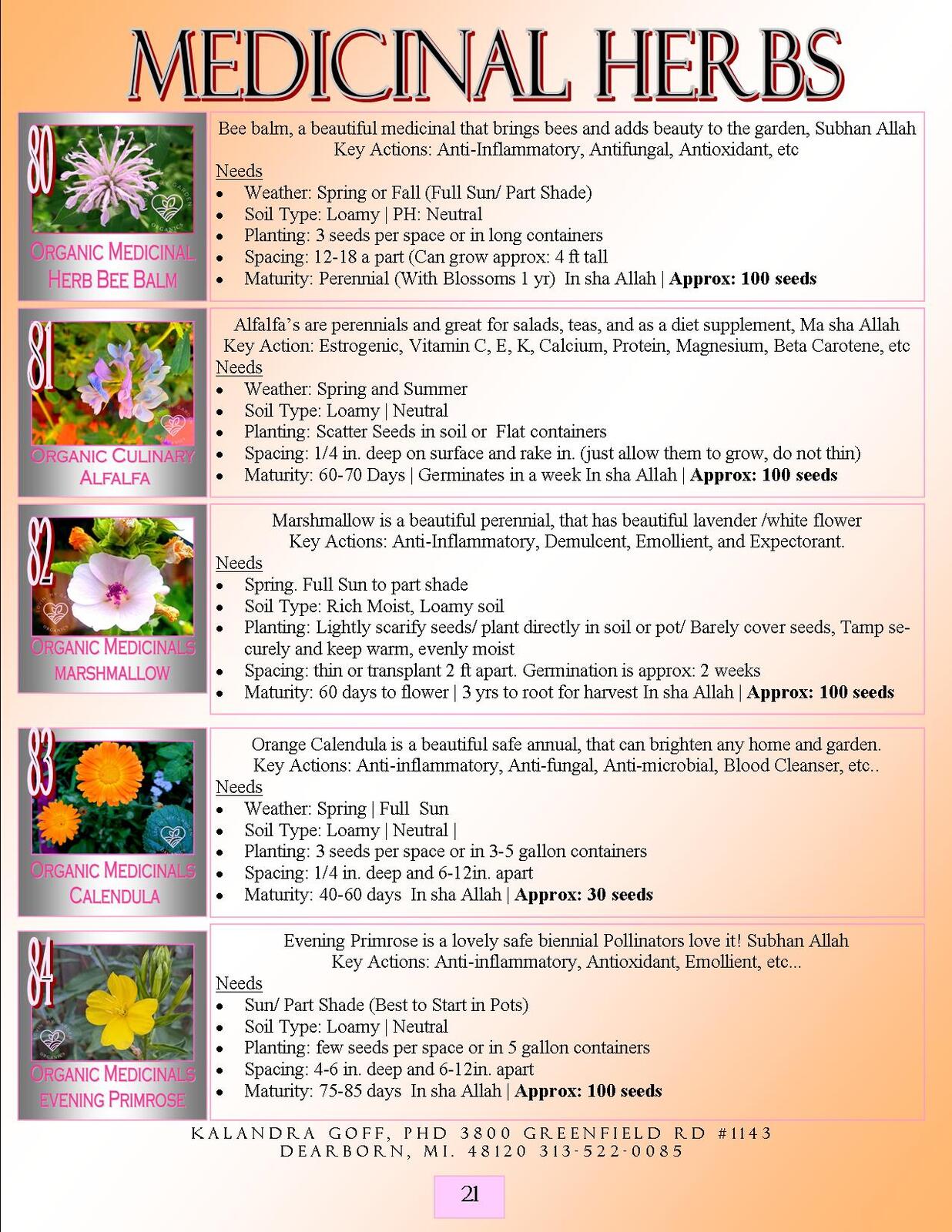Lovin' My Garden Organic 2025 legumes1