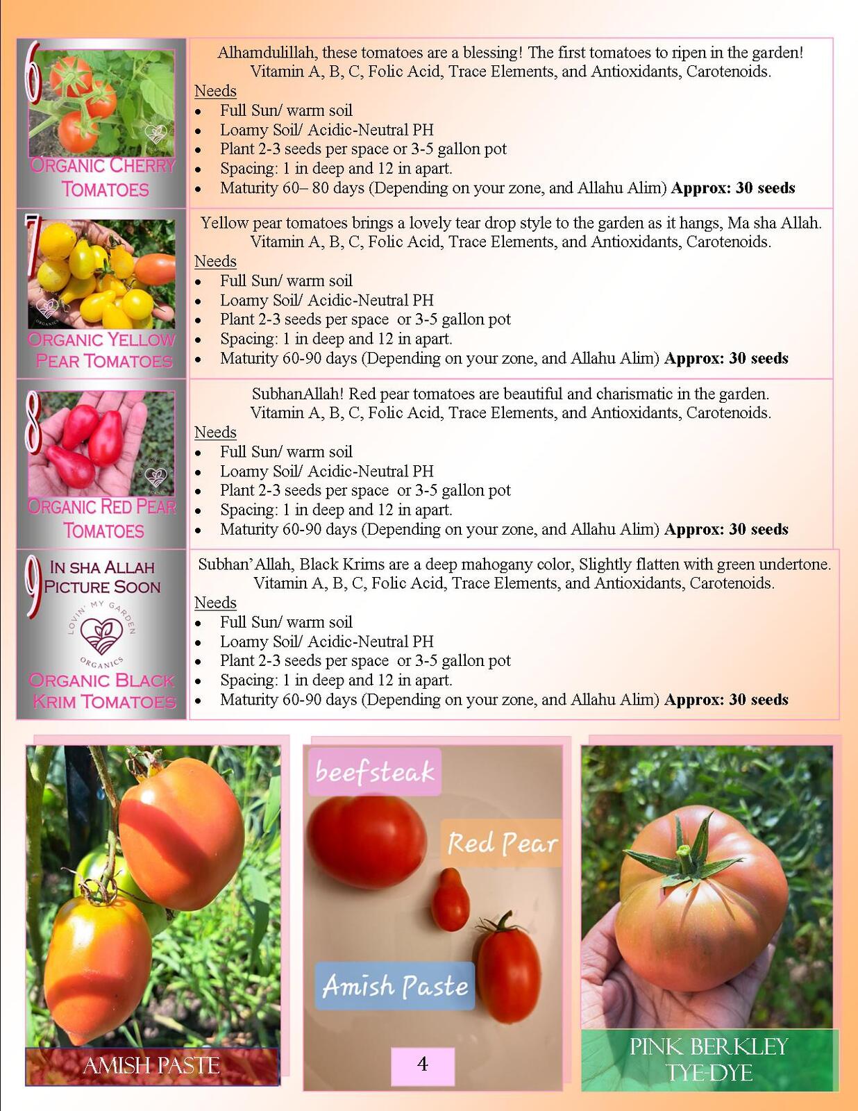 Lovin' My Garden Organic 2025 Peppers 1
