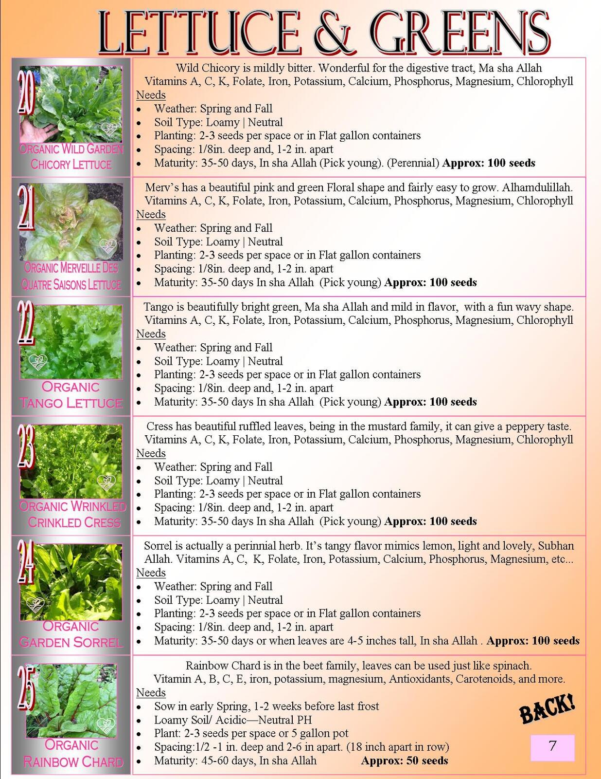 Lovin' My Garden Organic 2025 Greens