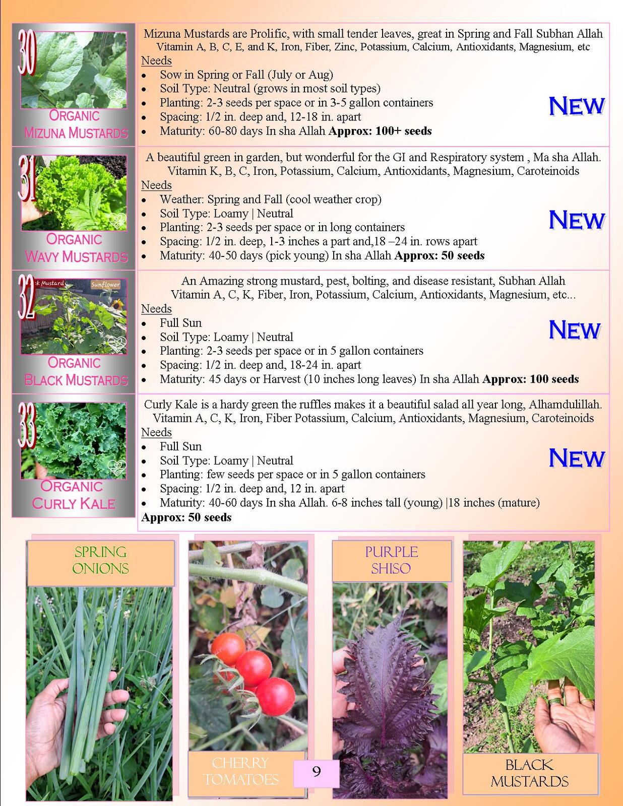 Lovin' My Garden Organic 2025 Root Veggies Carrots and Parsnip 