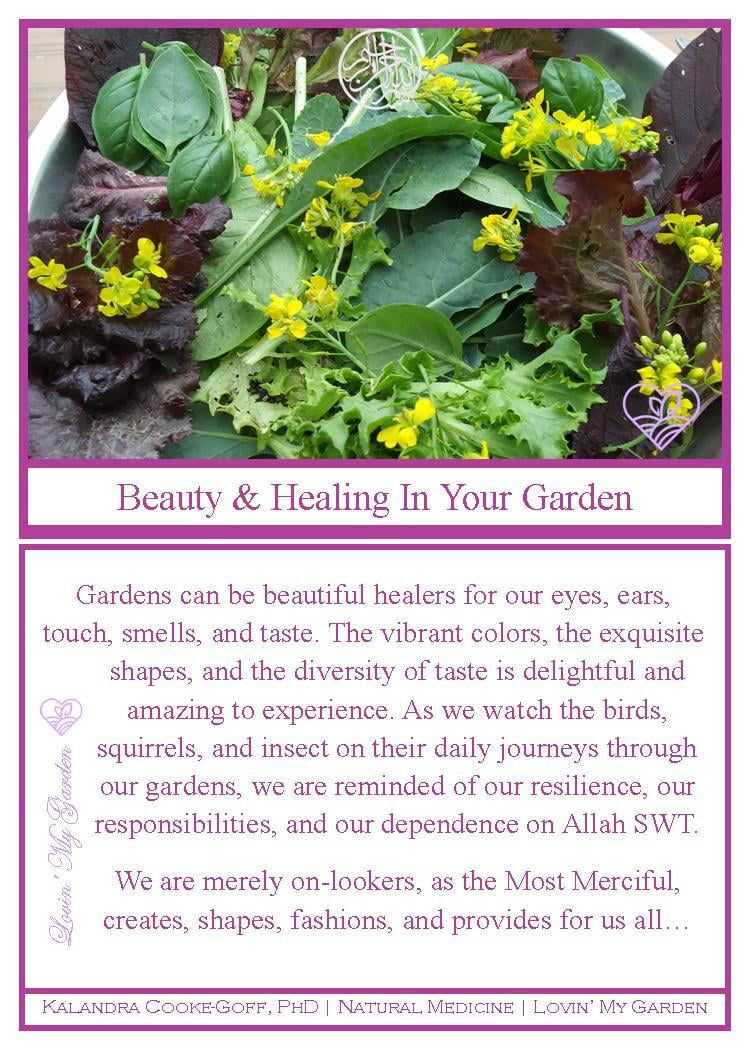 WellScript, LLC Kalandra Cooke Goff, PhD Natural Medicine Lovin' My Garden Organics