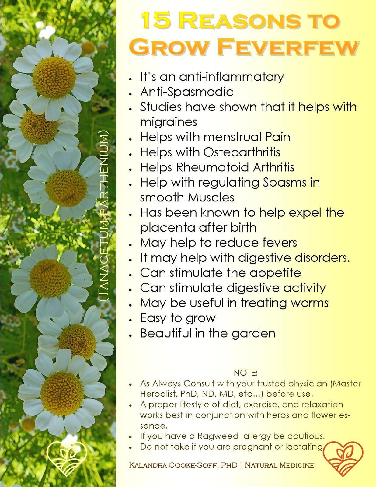 WellScript, LLC Kalandra Cooke Goff, PhD Natural Medicine Lovin' My Garden Organic 