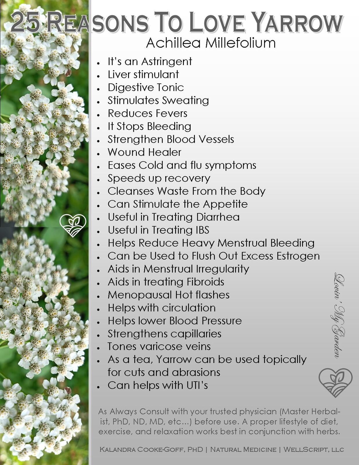 WellScript, LLC Kalandra Cooke Goff, PhD Natural Medicine Lovin' My Garden Organic