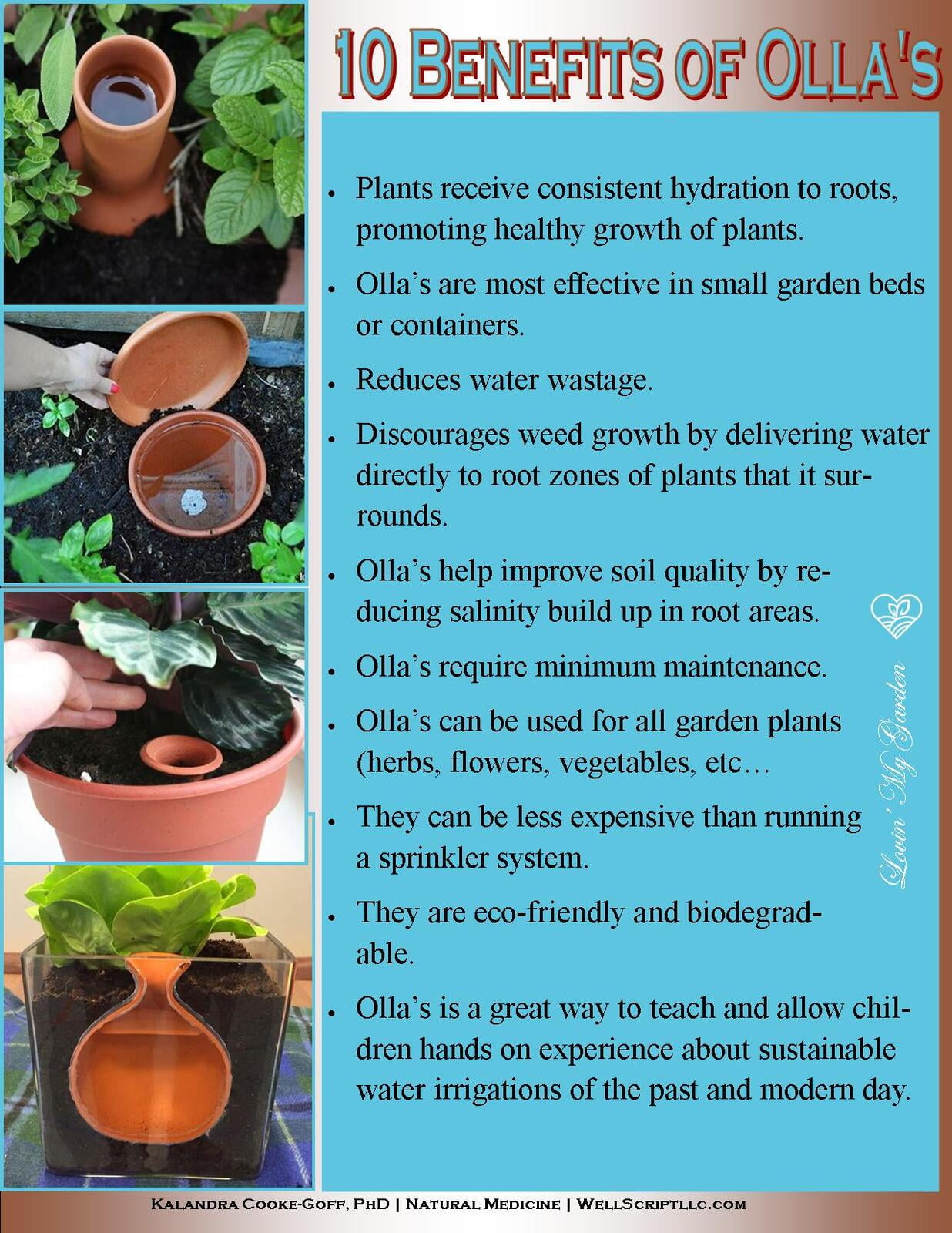 WellScript, LLC Kalandra Cooke Goff, PhD Natural Medicine Lovin' My Garden Organic