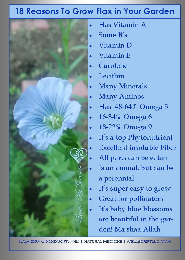 WellScript, LLC Kalandra Cooke Goff, PhD Natural Medicine Lovin My Garden Organics
