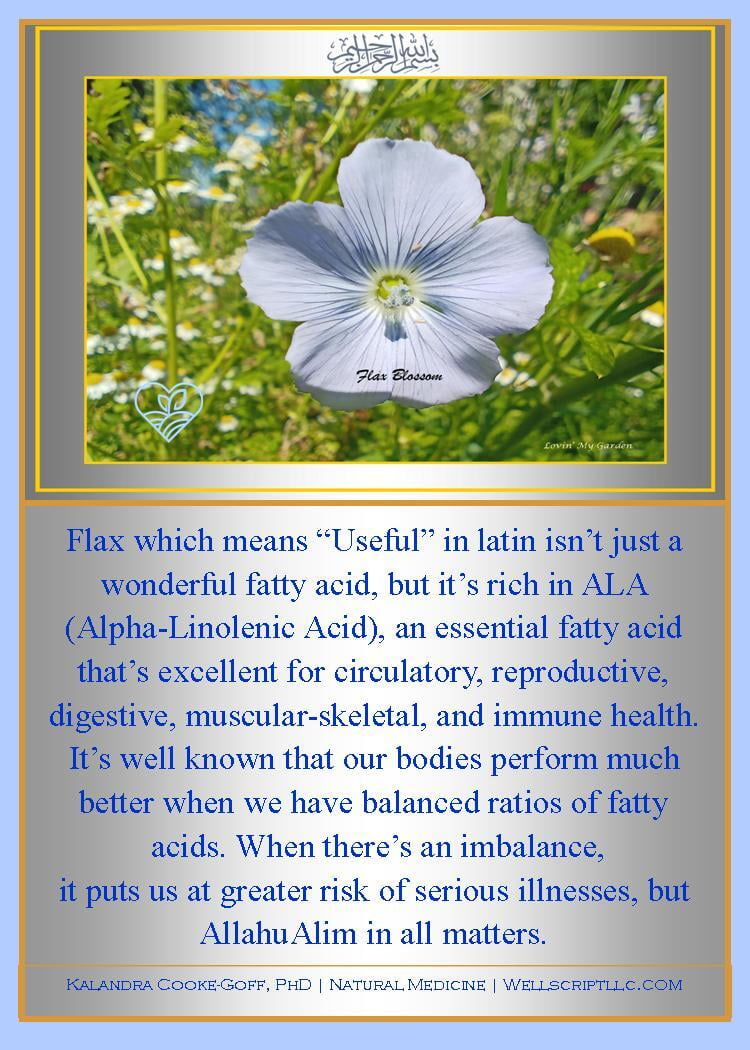 Kalandra Cooke Goff PhD Natural Medicine Lovin' My Garden