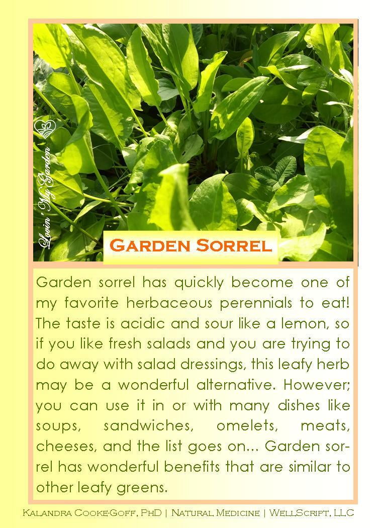 WellScript, LLC Kalandra Cooke Goff, PhD Natural Medicine Lovin My Garden Organics