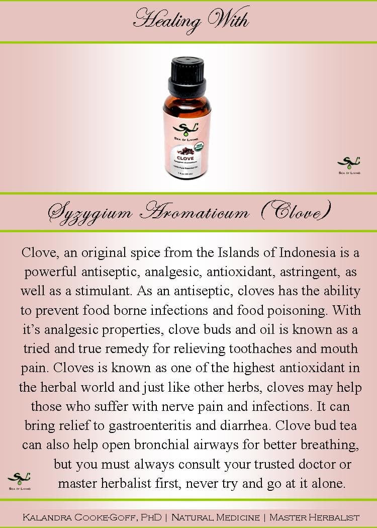 Sea of Living Clove