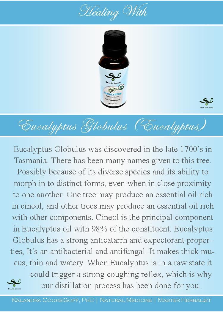 WellScript, LLC Sea of Living Organic Eucalyptus Essential Oil