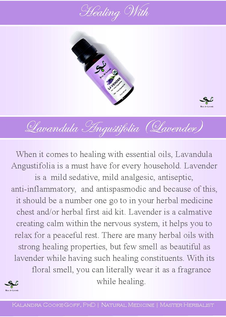 WellScript, LLC Sea of Living Organic Lavender Essential Oil by Kalandra Cooke Goff, PhD