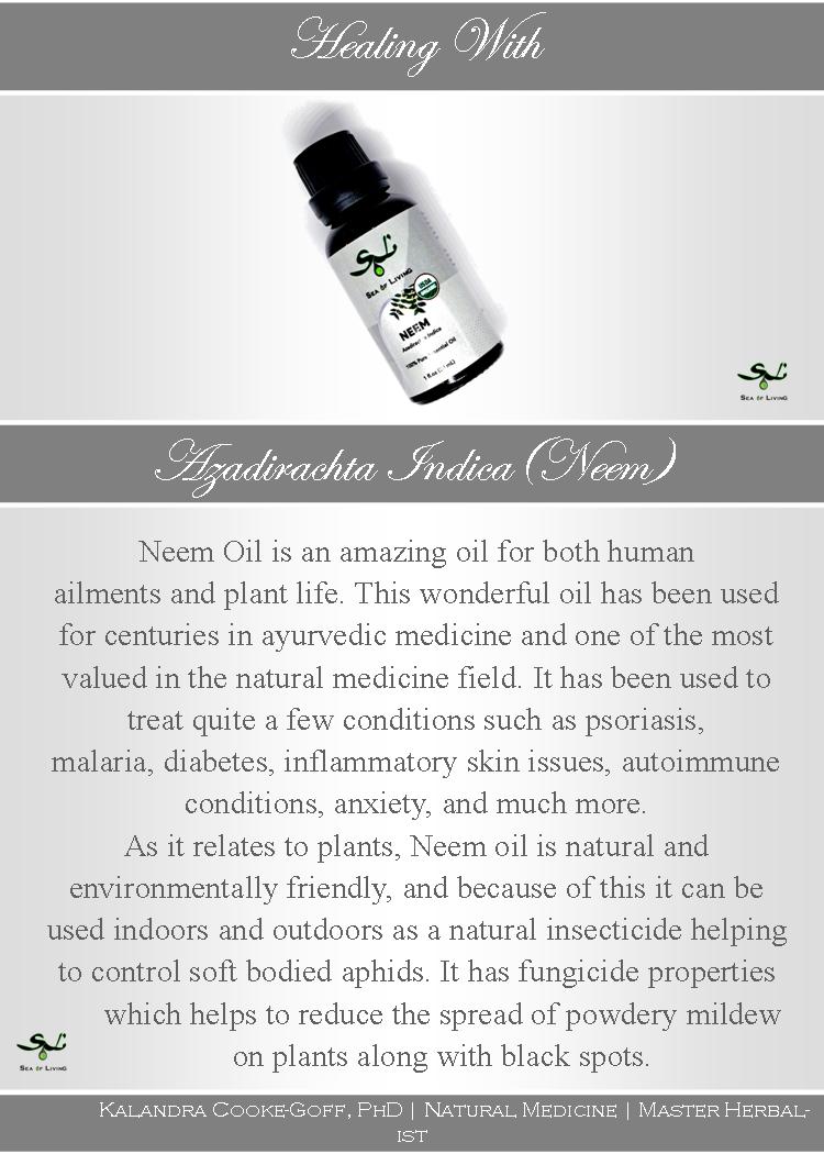 WellScript, LLC Sea of Living Organic Neem Essential Oil by Kalandra Cooke Goff, PhD