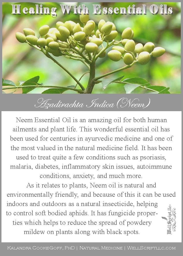 WellScript, LLC Kalandra Cooke Goff, PhD Natural Medicine Lovin' My Garden Organic