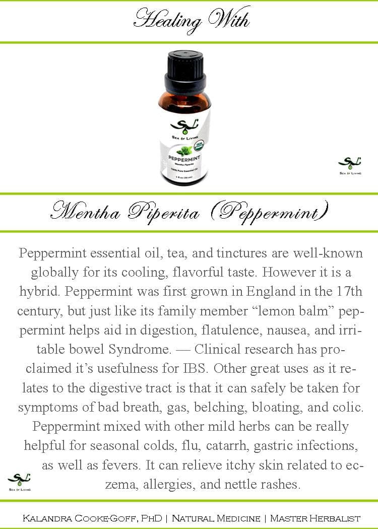 SOL Peppermint