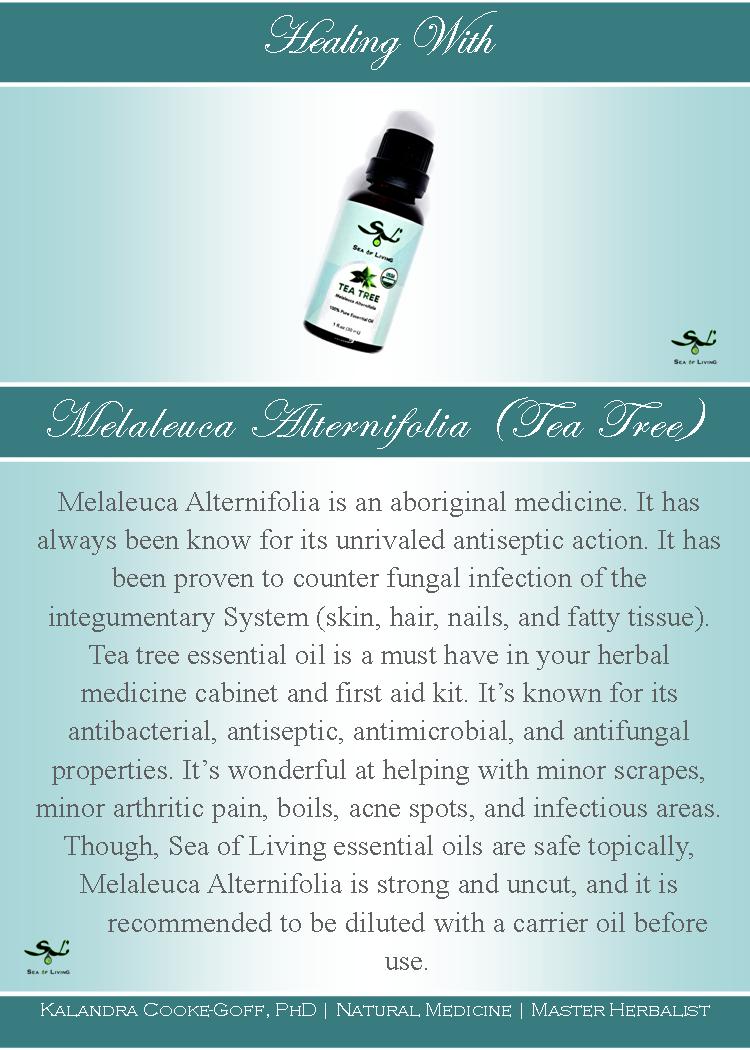 WellScript, LLC Sea of Living Organic Tea Tree Essential Oil by Kalandra Cooke Goff, PhD