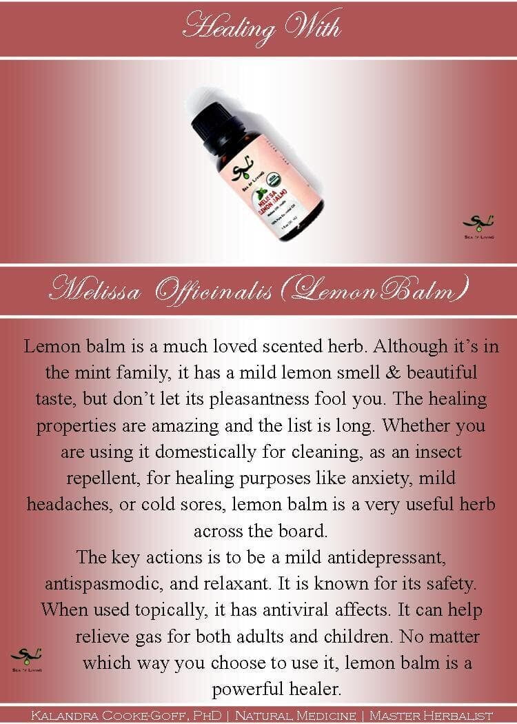 Sea of Living Lemon Balm