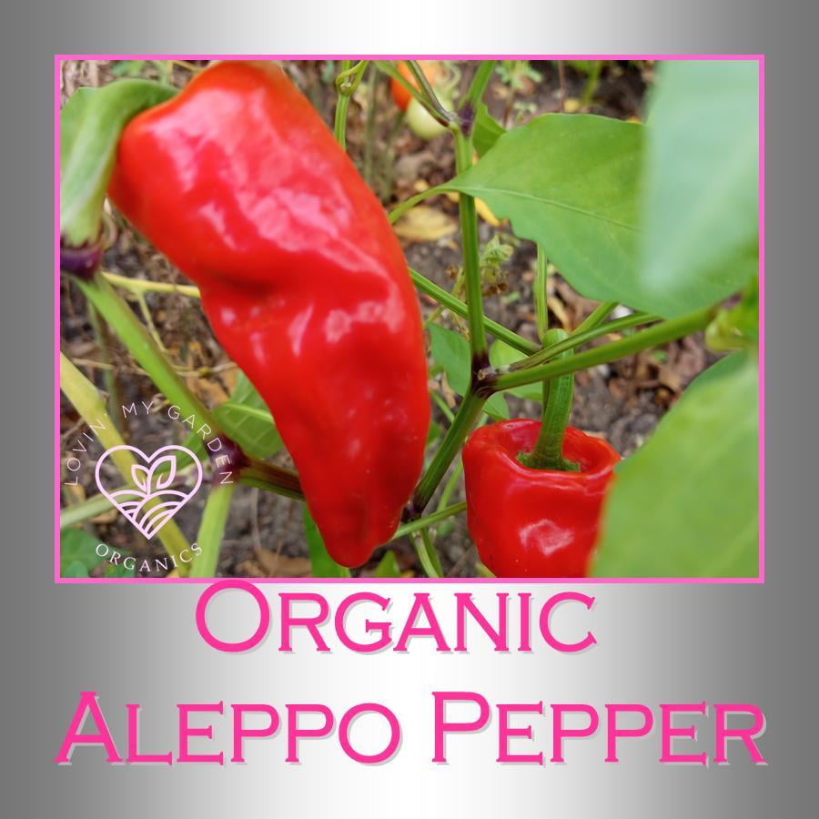 Lovin' My Garden Organic Aleppo Peppers