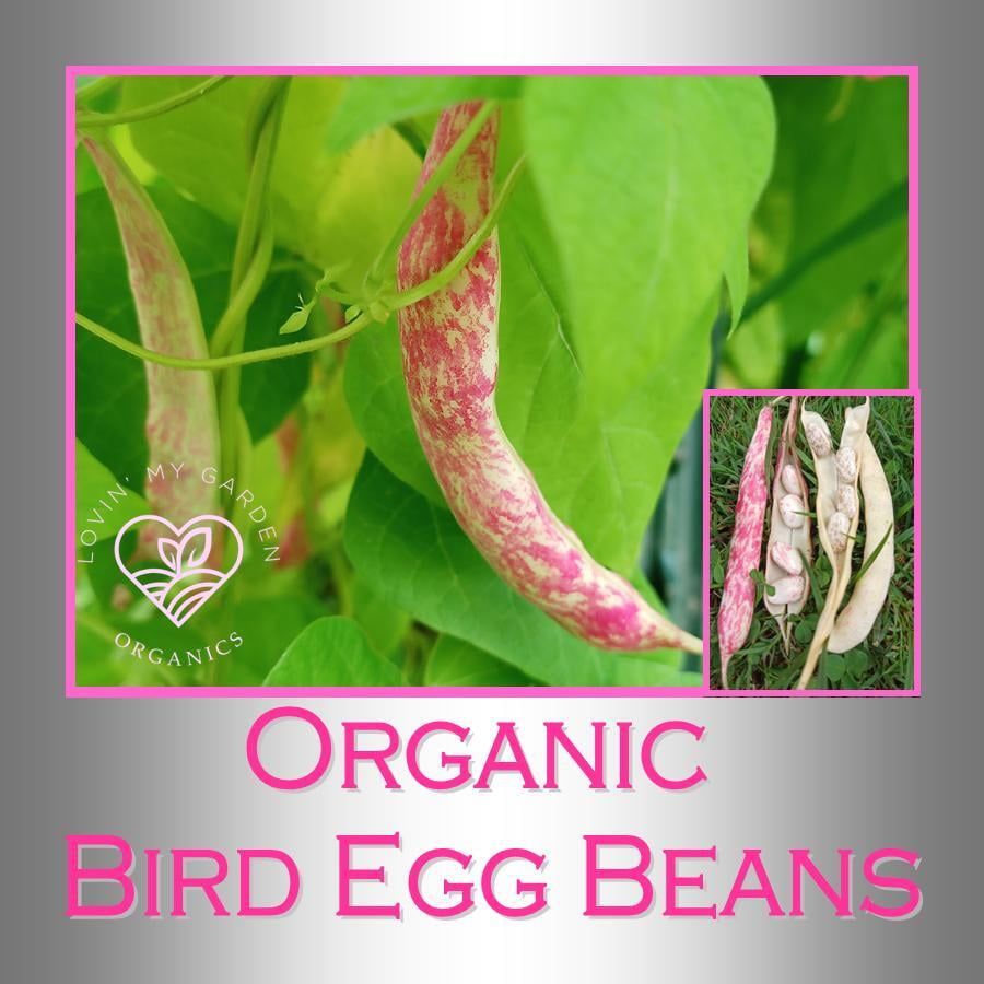 Lovin' My Garden Organic Bird Egg Beans