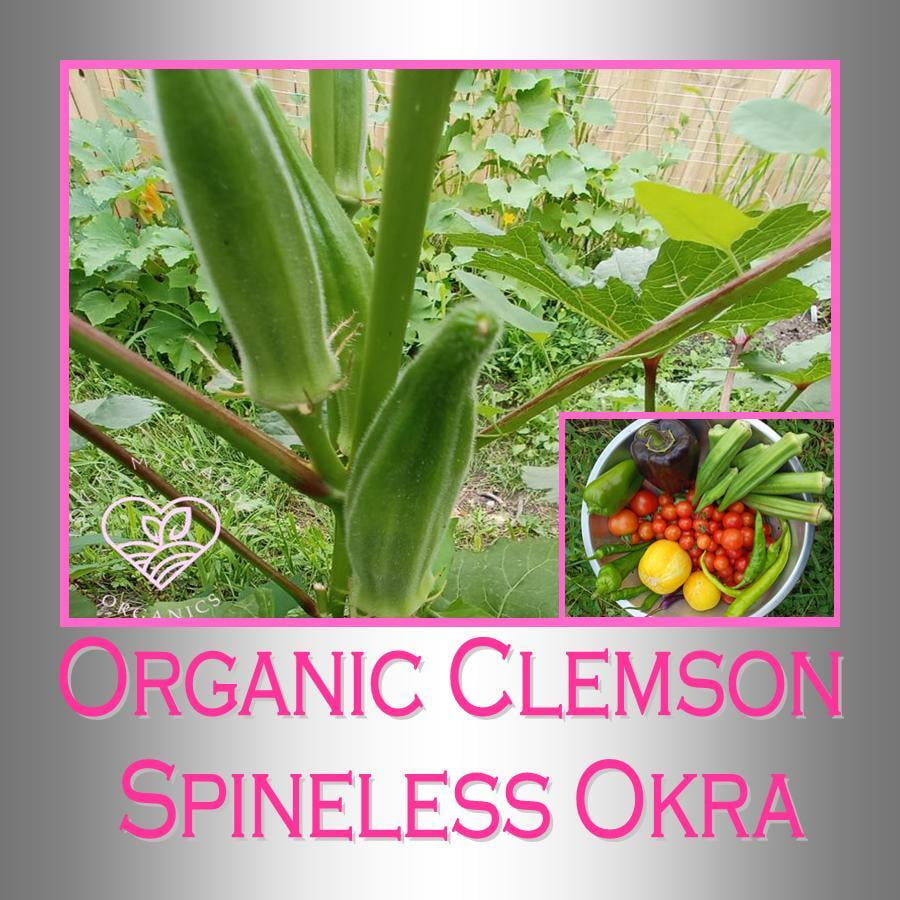 Lovin' My Garden Organic Clemson Spineless Okra