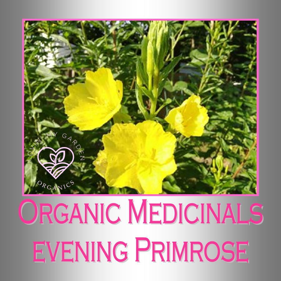 Lovin' My Garden Organic Evening Primrose