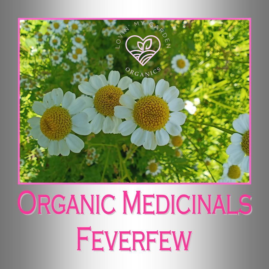Lovin' My Garden Organic Feverfew