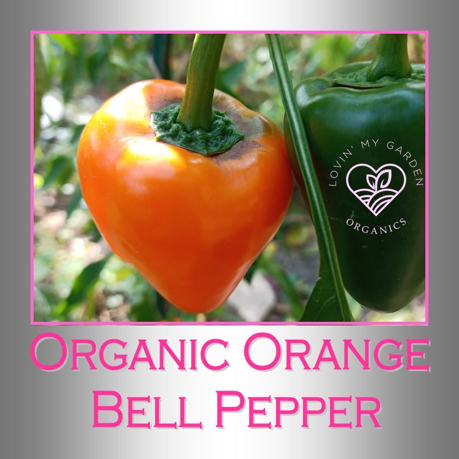 Lovin' My Garden Organic Orange Bell Peppers