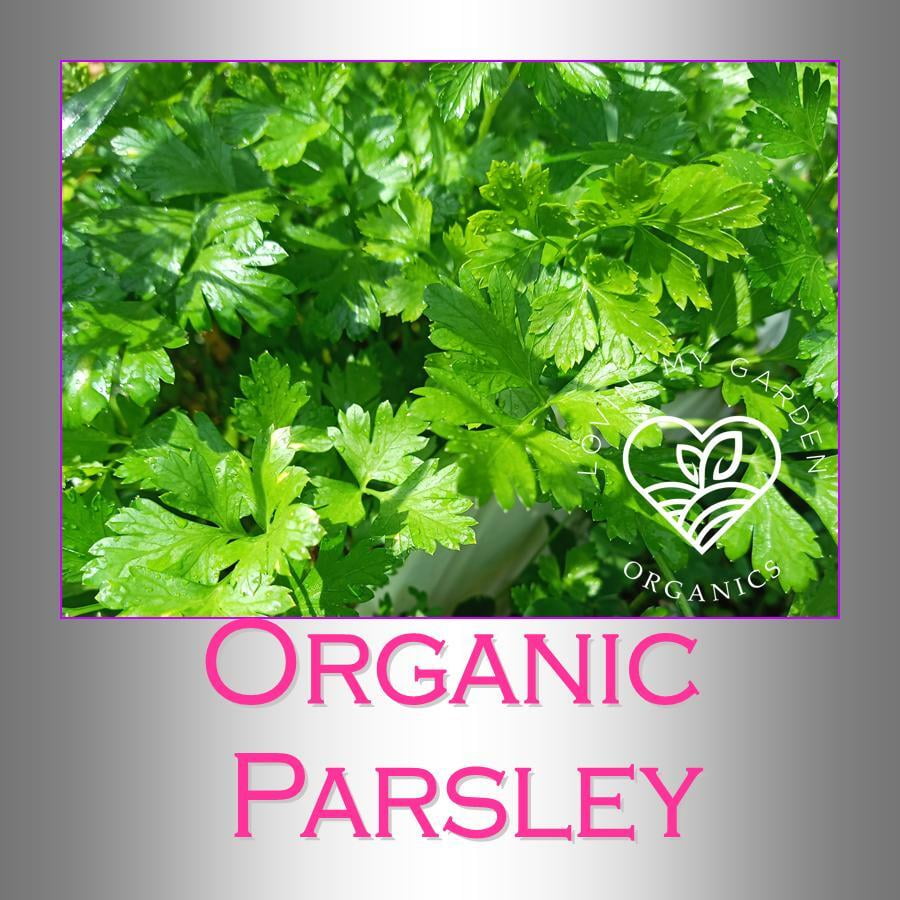 Lovin' My Garden Organic parsley