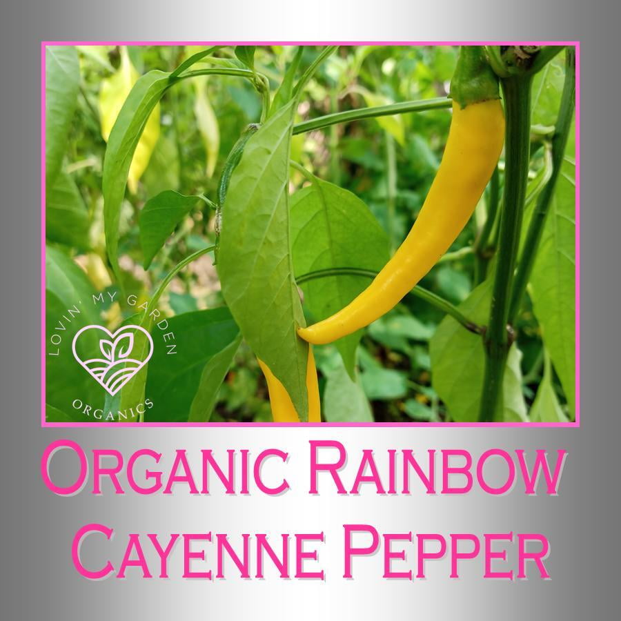Lovin' My Garden Organic Rainbow Cayenne Pepper