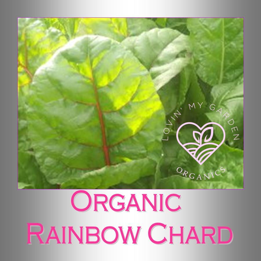Lovin' My Garden Organic Rainbow Chard