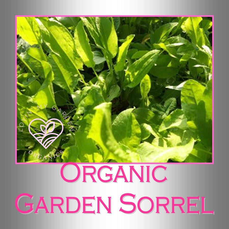 Lovin' My Garden Organic Garden Sorrel