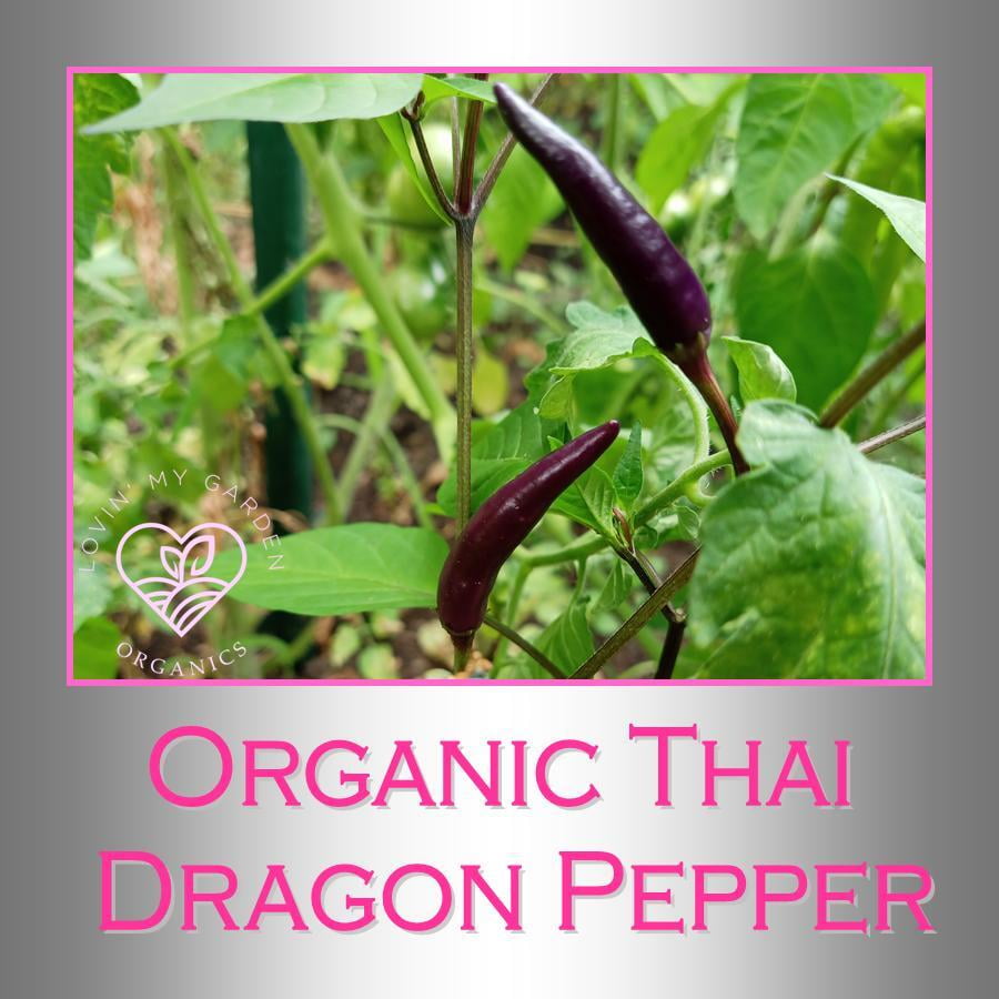 Lovin' My Garden Organic Thai Dragon Peppers