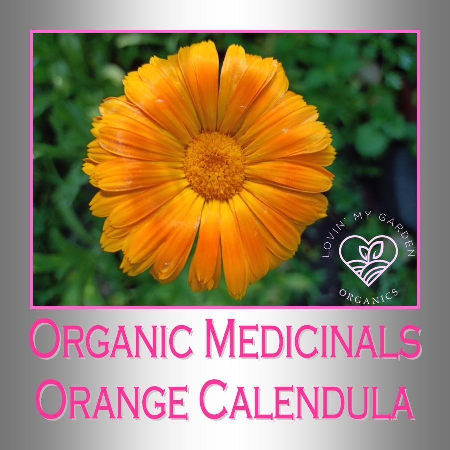 Lovin' My Garden Organic Orange Calendula
